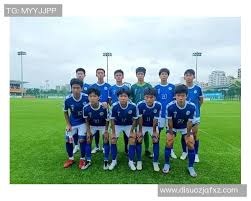 篮球鞋气垫与缓震差异解读